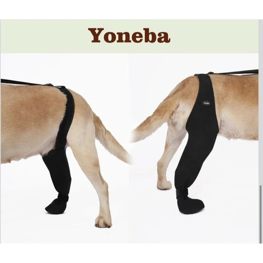 Yoneba large Right Dog Leg Brace -R